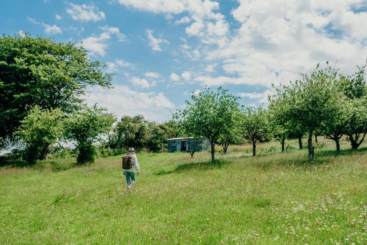 Blatchford Briar - Award Winning Private Shephards Huts With Their Own Secluded Hot Tubs Milton Abbot Extérieur photo